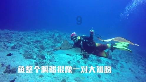 辽宁队双喜临门！张镇麟补扣石破天惊 4连胜升联盟第一 赵率舟重返家乡