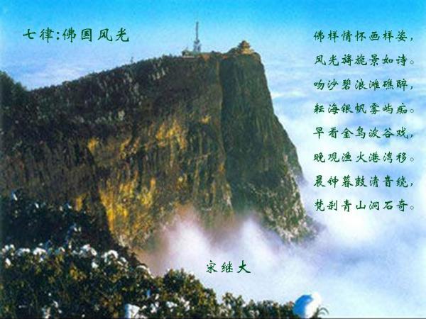 植物大战僵尸18